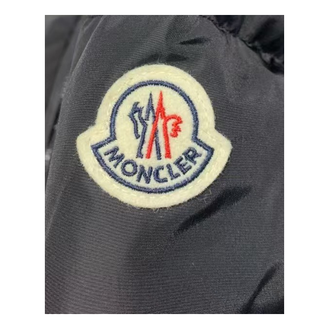 Moncler Fitted Hooded Puffer Jacket — #286