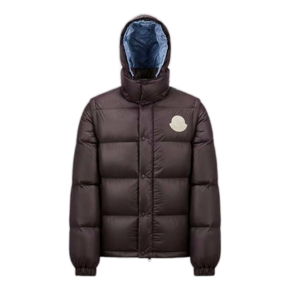 Moncler Cyclone Convertible Puffer Jacket — #295