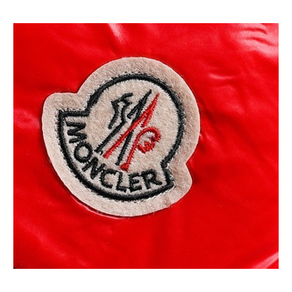 Moncler Glossy Hooded Long Puffer Jacket — #191