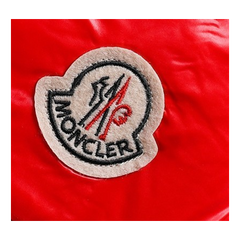 Moncler Glossy Hooded Long Puffer Jacket — #191
