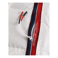 Moncler Striped-Sleeve Hooded Puffer Jacket — #246