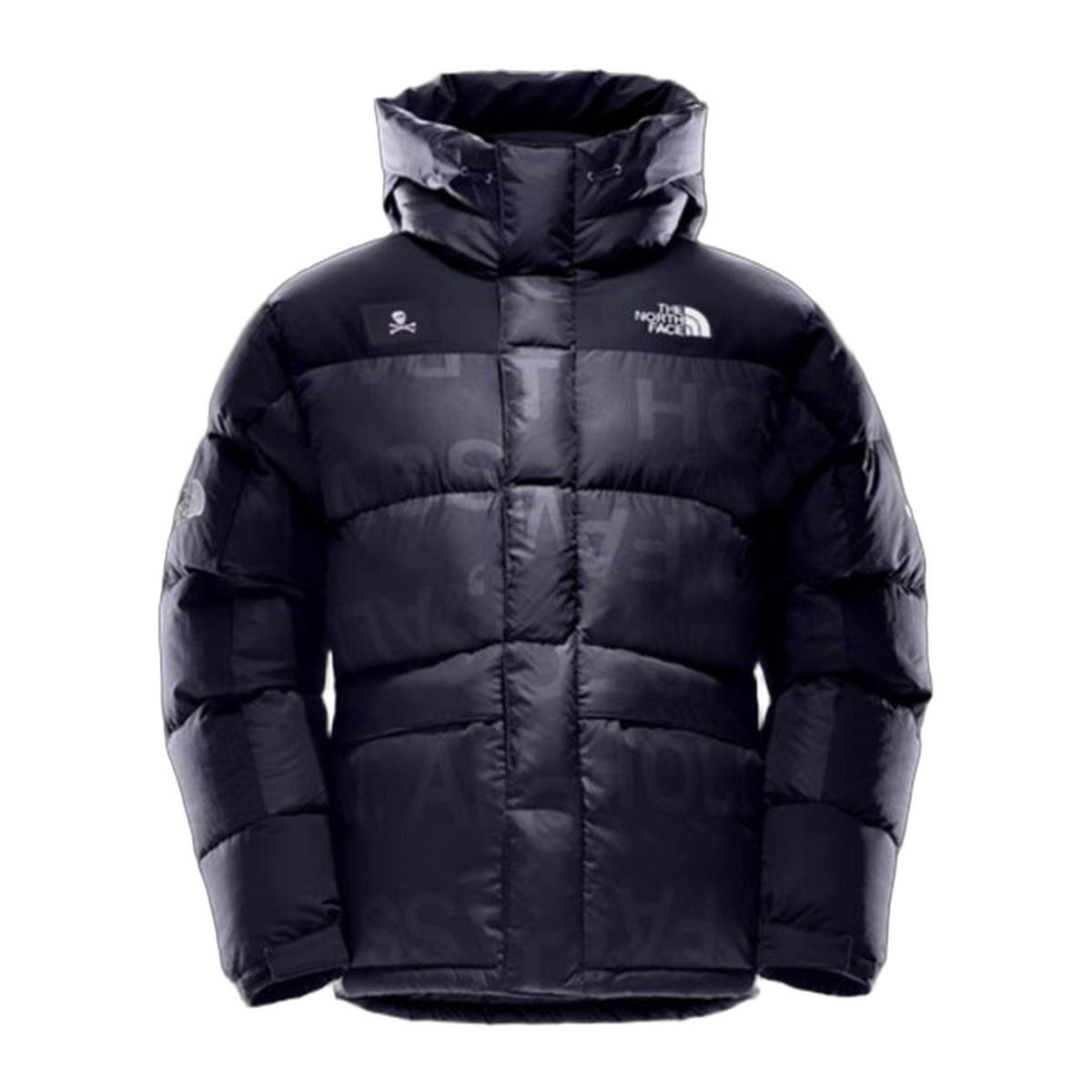The North Face UE Special Series Down Parka Style 5J27 — #378