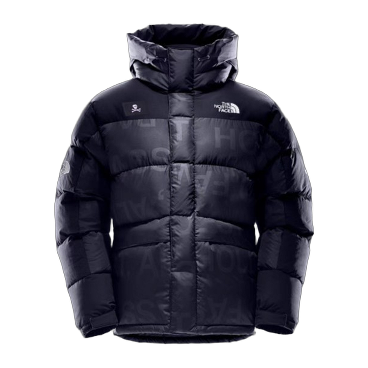 The North Face UE Special Series Down Parka Style 5J27 — #378