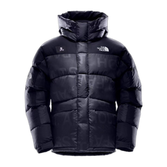 The North Face UE Special Series Down Parka Style 5J27 — #378